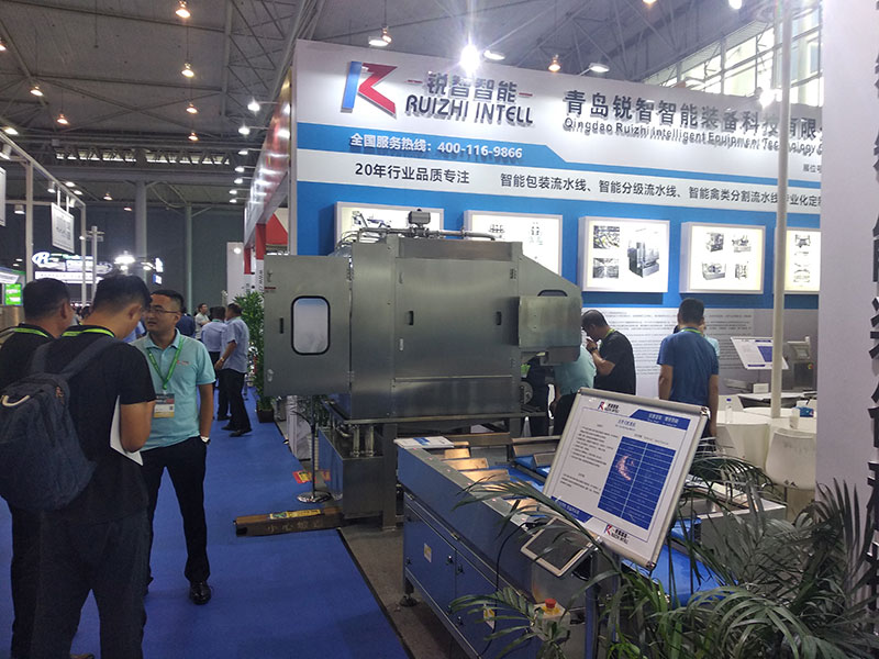 1630486037116844.jpg 10.jpg