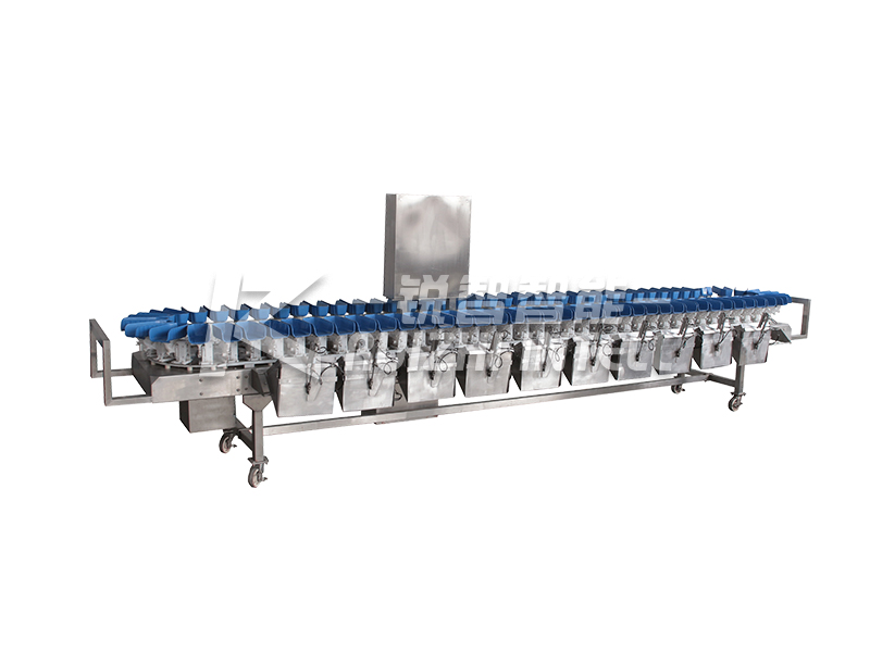 【銳智出品系列】之食品稱重分級、智能包裝整體解決方案